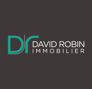 David Robin - Immobilier