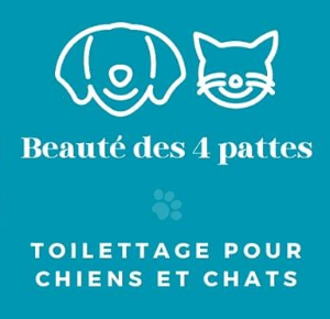 beauté-des-4-pattes-toilettage-chein-et-chats